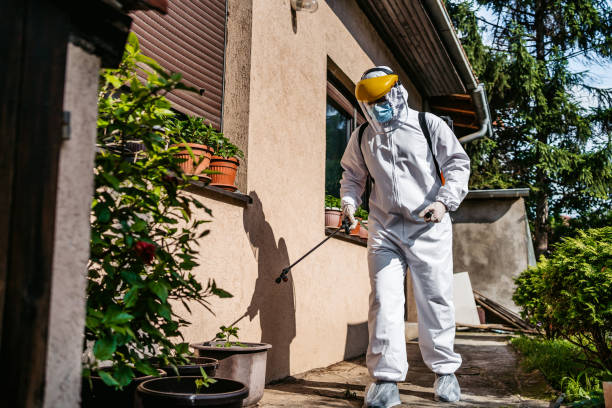 Best Cockroach Control Services  in Flora, AL