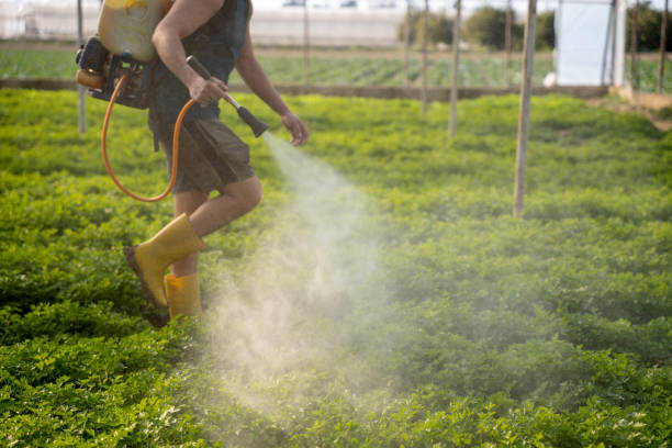Best Mosquito Control Services  in Flora, AL
