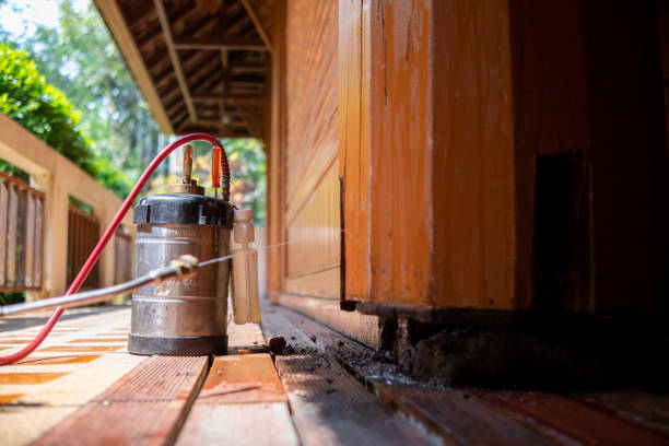 Best Pest Removal Services  in Flora, AL