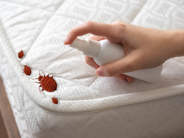 Best Affordable Pest Control Services  in Flora, AL