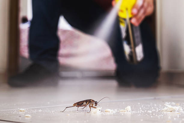 Professional Pest Control in Florala, AL